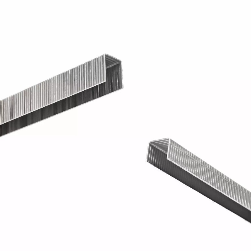 ARROW T50 Stainless Steel Staples Pack Set #508SS1 1/2'' 12mmǺSS1
