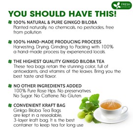 FreshDrinkUS, Premium 55 Ginkgo Biloba Leaf Tea Bags, 100% Natural & Pure from Ginkgo Biloba Leaves. Loose Leaf Herbal Tea. Made with Eco-Conscious Tea Bags. No Sugar, No Caffeine, No Gluten, Vegan.