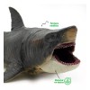 Tiburon Prehistórico Jurassico De 30 Cm Figura De Dinosaurio Megalodon