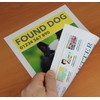 PPD Double Sided Photo Paper, Matte Brochure Paper 11 x