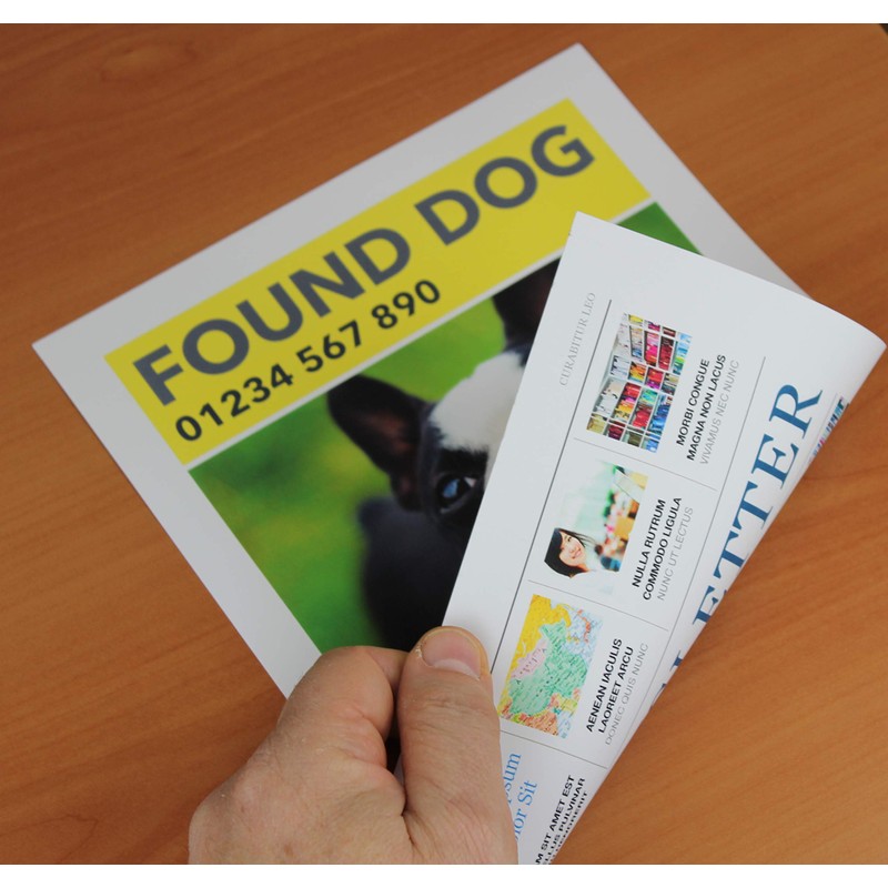 PPD Double Sided Photo Paper, Matte Brochure Paper 11 x