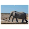 Fascination Namibia (Wall Calendar 2026 DIN A3 Landscape), CALVENDO Monthly