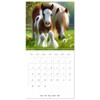 The majestic beauty of Gypsy Vanner (Wall Calendar 2025 12
