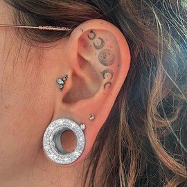 Vankula 2PCS Cubic Zirconia Ear Tunnels Plugs 316L Stainless Steel Screw Tunnels Ear Expander Stretcher Piercing Gauges Tunnel Gauge