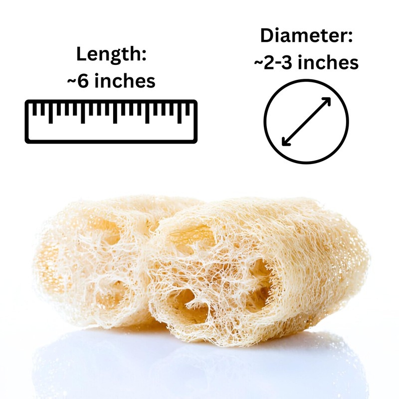 Birdee 100% Plant-Based Loofah Body Wash Sponge - Natural Luffa