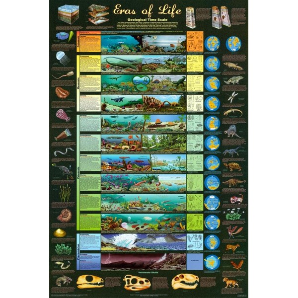 Eras of Life Poster 24x36 Illustrated Geological Chart NEW EDITION! Art Poster Print, 24x36
