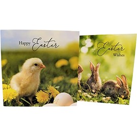 8x Happy Easter Cards with Envelopes (Photo Bunny & Chick)