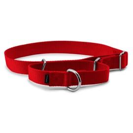 PetSafe Martingale Collar 1 Large, Red                                                                                                                