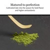 DoMatcha - Summer Harvest Green Tea Matcha Powder, Natural Source
