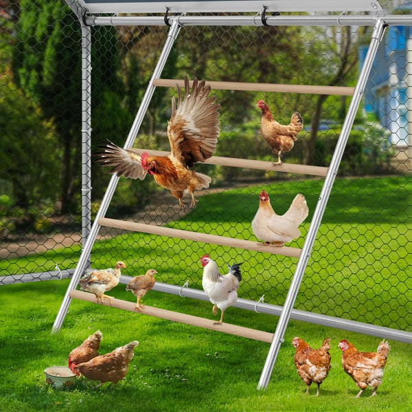 DWVO Chicken Perch Set for Chicken Coop, Chicken Roosting Essentials,