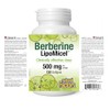Berberine LipoMicel 500mg (120 Count (Pack of 1))