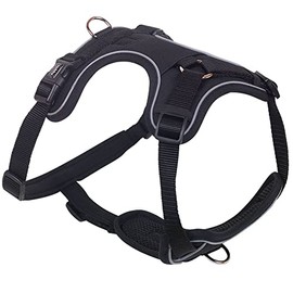 Nobby Comfort Harness Mailo Black L: Chest: 42-60 cm, Belly: 65-85 cm, W: 25 mm, Pack of 1