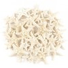 Jangostor 48 PCS Starfish, Mixed Starfish 1" to 2" and