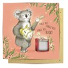 La La Land Greeting Card Jingle Bell Rock Koala