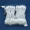 SWEET SHINE Clear Incandescent Christmas Lights, 66 Ft White Wire