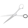 Kiepe Super Coiffeur Micro Scissors, 7-Inch Size, Silver