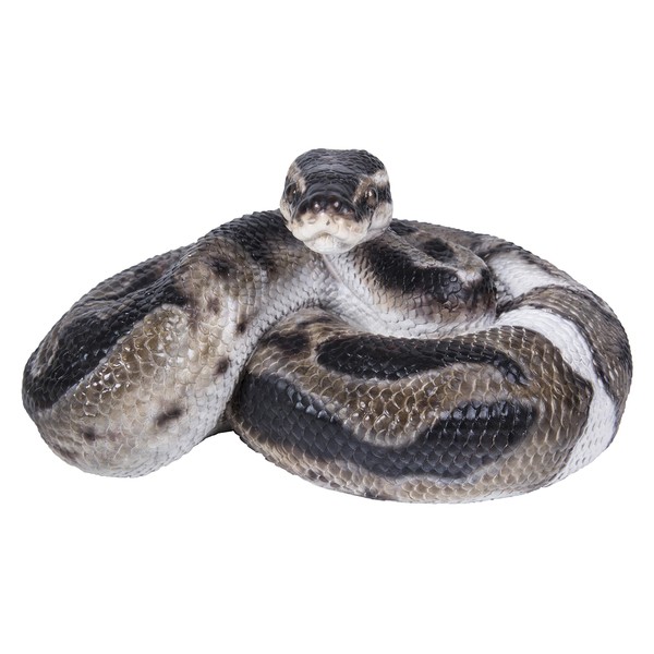 Hi-Line Gift 87680-B Regius Ball Python Statue