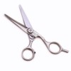 Takunoki G-5001 Stainless Steel Hair Cutting Scissors, Silver, Total Length: