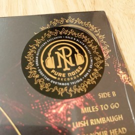 Senses Fail Hell Is In Your Head Exclusive Gold & Black Galaxy Colored Vinyl LP