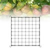 Dunkwckore Trellis Net, Beans Trellis, Plant Net, Large Mesh Size,