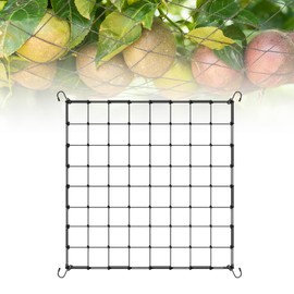 Dunkwckore Trellis Net, Beans Trellis, Plant Net, Large Mesh Size, Climbing Plants Net 60 x 60 cm, Grid Net Grow Elastic Trellis with 4 Hooks, Trellis Supports Can Be Stretched to 100 x 100 cm