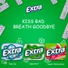 Bitetwist Assorted Chewing Gum, Variety pack Of Extra Long Lasting