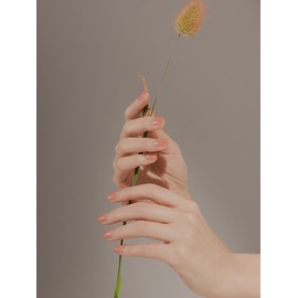 Press & Go ASAP Pitch Perfect KKPA02K / 프레스앤고 ASAP 피치퍼펙트KKPA02K