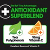 Ryl Iced Tea, Unsweetened Black Tea, Antioxidant Superblend, Zero Sugar,