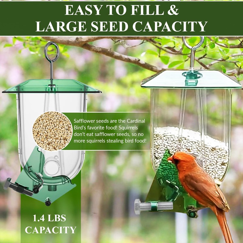 Unique Cardinal Bird Feeder for Outdoors - Designed for Cardinals