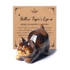 JSDDE Tiger Eye Crystal Cat Figurine for Cat Lovers Cute