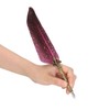 Feather Pen Set with 10 Interchangeable Nib Fire Lacquer Wax