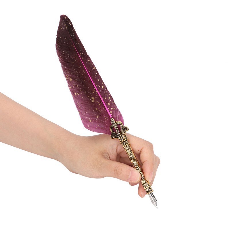 Feather Pen Set with 10 Interchangeable Nib Fire Lacquer Wax