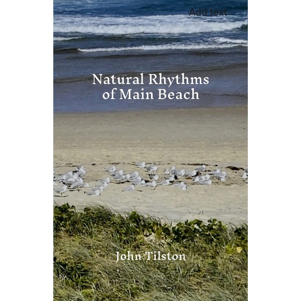 Natural Rhythms of Main Beach