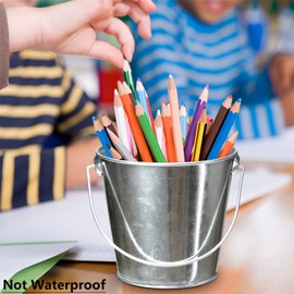 TAKMA Galvanized Tin Metal Buckets with Handle - 6 Pack 4.3 Inch Iron Pail, Easter Bucket,Pencil Holder and Flower Pots,Craft Supply Holders for Events,School Storage and Party. (Silver, 4.3" Top)
