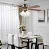 SHENGQINGTOP 4 Pack Clear & Frosted Glass Lamp Shade Replacement