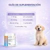 Ms Probiotico Para Perros 90 Gr