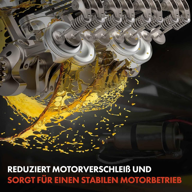 Frankberg Fuel Filter Fuel Filter Replacement # 13328597828SK1