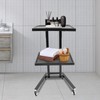Salon Tray on Wheels, 2 Tier Foldable Salon Trolley Cart,