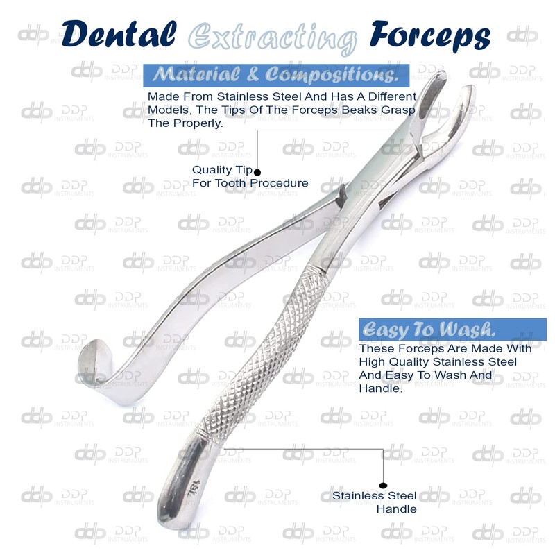 DDP 1PC Dental Instrument 18L EXTRACTING Forceps Stainless Steel