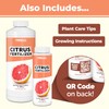 Citrus Fertilizer for All Citrus and Fruiting Trees, Liquid Plant