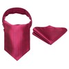 HISDERN Red Cravats for Men Wedding Polka Dot Ascot and