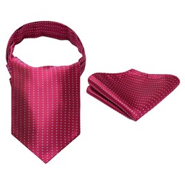 HISDERN Red Cravats for Men Wedding Polka Dot Ascot and Handkerchief Classic Business Cravat Tie & Pocket Square Set