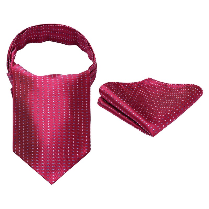 HISDERN Red Cravats for Men Wedding Polka Dot Ascot and