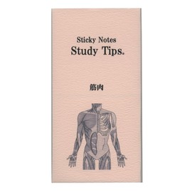 Paper Seasons FS-SST008 Sticky Note Study Tips [Muscle] Sticky Notes