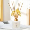 Chloefu Lan Sandalwood Reed Diffuser,6.7 oz Natural Essential Scented Oil