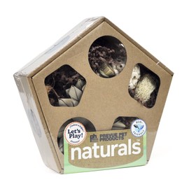 Prevue Pet Products Large Pentagon Forage n Play Box for Small Animals