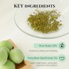 Beauty of Joseon [Beauty of Joseon]Green Plum Refreshing Cleanser 100ml
