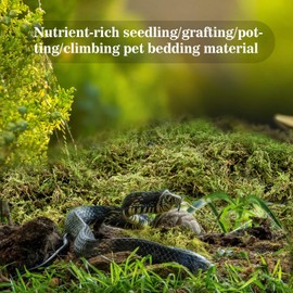 Sukh Sphagnum Moss for Reptiles -Terrarium Moss for Reptiles Peat Moss for Reptiles Habitat Bedding Moss for Snakes Turtle Frog Gecko and Other Reptiles Substrate (6.3, Ounces)