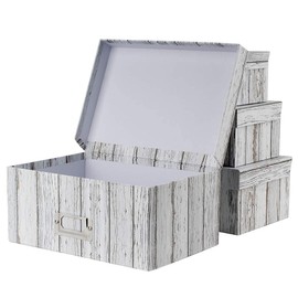 Briful Photo Boxes Storage, Storage Boxes with Lids 4 in 1 Set Water-Proof Storage Box Sets with Handles Decorative Multiple Size Storage Bins with Lids for Clothes/Shoes/Office/Cosmetic/Books