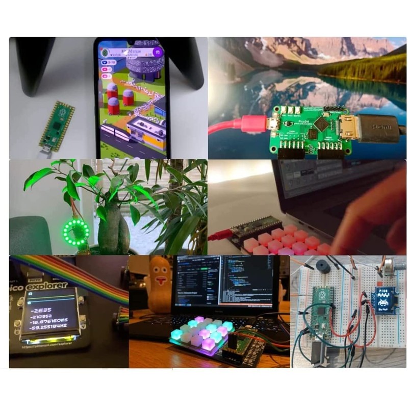 DUBEUYEW Raspberry Pi Pico Flexible Microcontroller Card Based on Raspberry